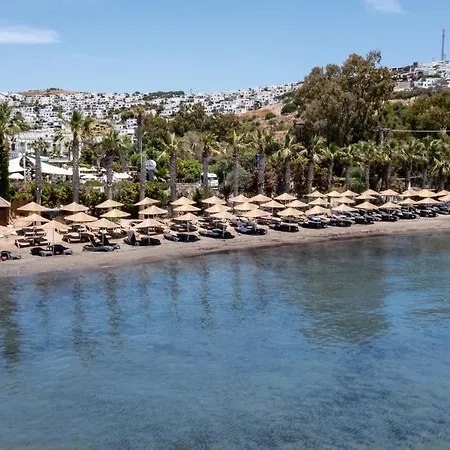 Golden Bodrum