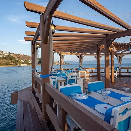 酒店 Golden Bodrum 图尔古特雷斯