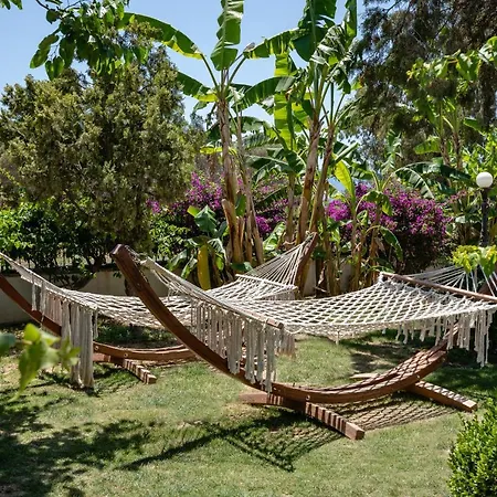 Golden Bodrum 图尔古特雷斯